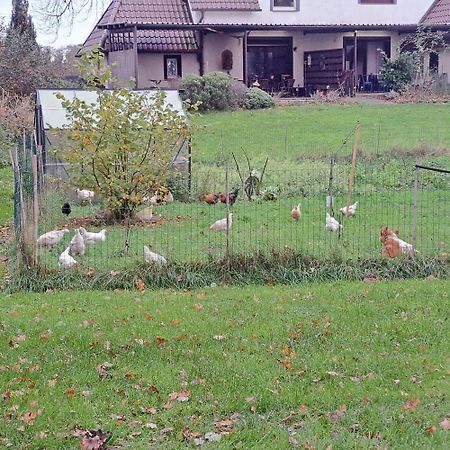 Lovely House In The Countryside By Nordhorn Zewnętrze zdjęcie